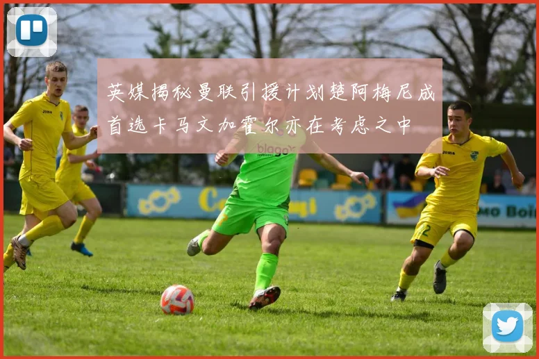 英媒揭秘曼联引援计划楚阿梅尼成首选卡马文加霍尔亦在考虑之中